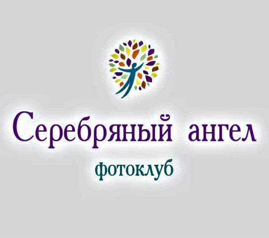 fotoklub serebryianyi angel logo